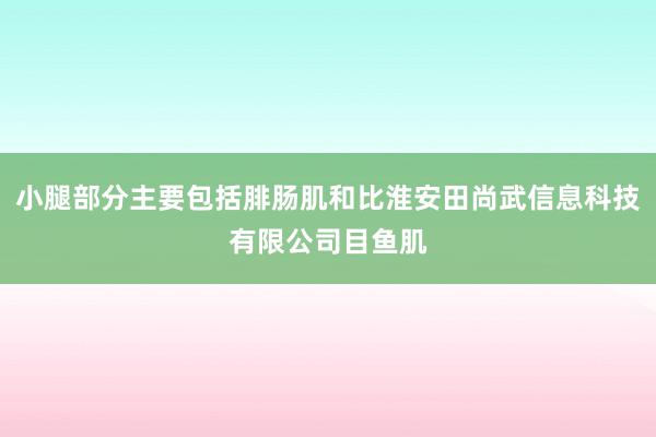小腿部分主要包括腓肠肌和比淮安田尚武信息科技有限公司目鱼肌