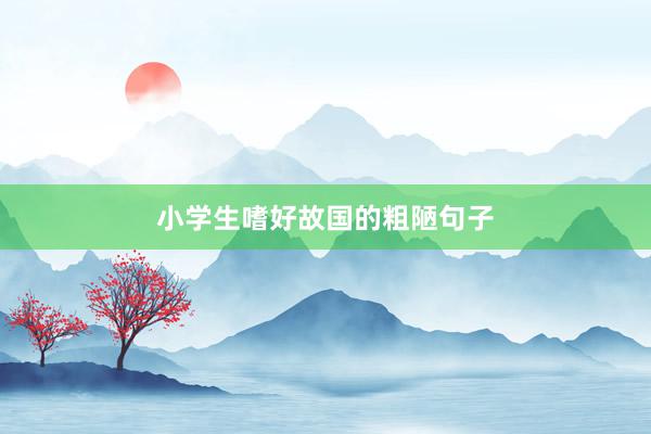 小学生嗜好故国的粗陋句子