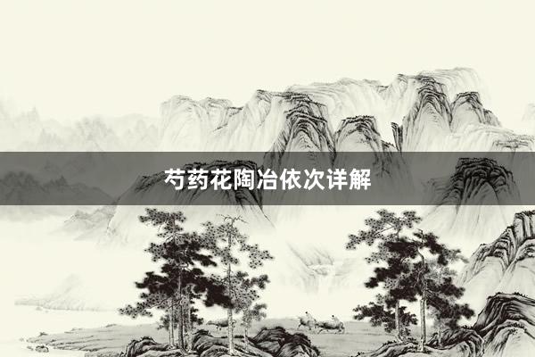 芍药花陶冶依次详解